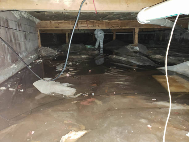 Best Water Damage Insurance Claim Assistance in Eureka, MO